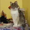 Отзыв от Елизавета Кузина